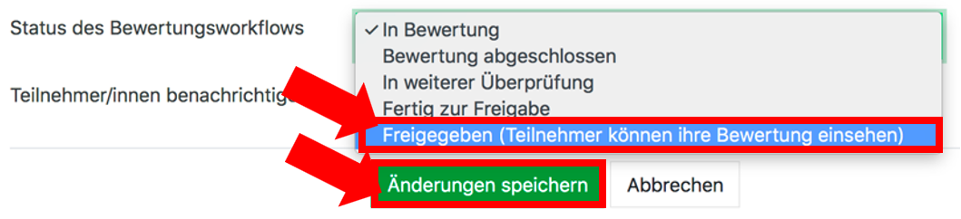 Bildschirmaufnahme der beschriebenen Einstellung